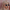 The Pixel