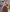 Pixel Square (Vintage)